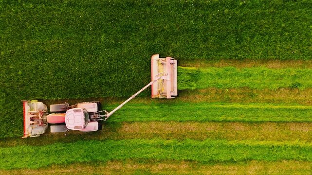 Aerial Overhead Shot of Tractor Cutting Grass Rows in Golden Evening Light