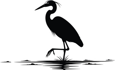 Obraz premium Heron standing on one leg in serene wetland waters vector illustration