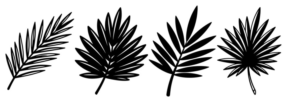 Set of different palm leaf silhouettes for nature and religious designs