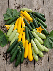 assorted colored zucchini