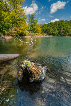 View of a tranquil scene where a mossy rock sits serenely in the clear waters of a lake surrounded by lush green forests, Morske Oko, Kosice Region, Slovakia.