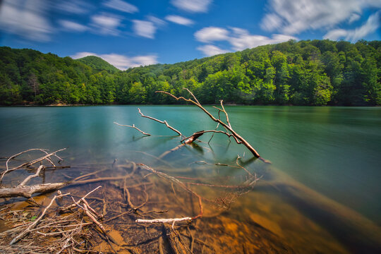 View of a serene lake mirroring the lush green forest under a vibrant blue sky with clouds and submerged branches in Morske Oko, Kosice Region, Slovakia.