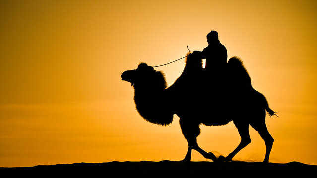 Silhouette of person riding Bactrian camel at sunset in Gobi Desert