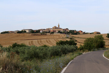 Pilgrim along dirt path with wheat fields near Los Arcos on Camino de Santiago Frances in Navarra Spain July 2024