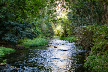 Obraz premium Landscape of forest, river and mountains in Ihlara canyon, Turkey