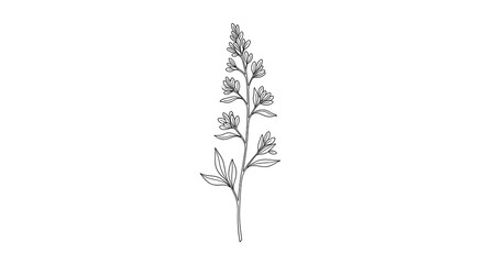 Simple Black and White Plant Illustration.