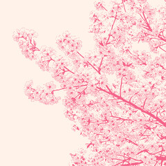 pink cherry blossom tree branches, sakura illustration in retro stipple effect halftone style © Satoru Sketches
