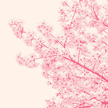 pink cherry blossom tree branches, sakura illustration in retro stipple effect halftone style