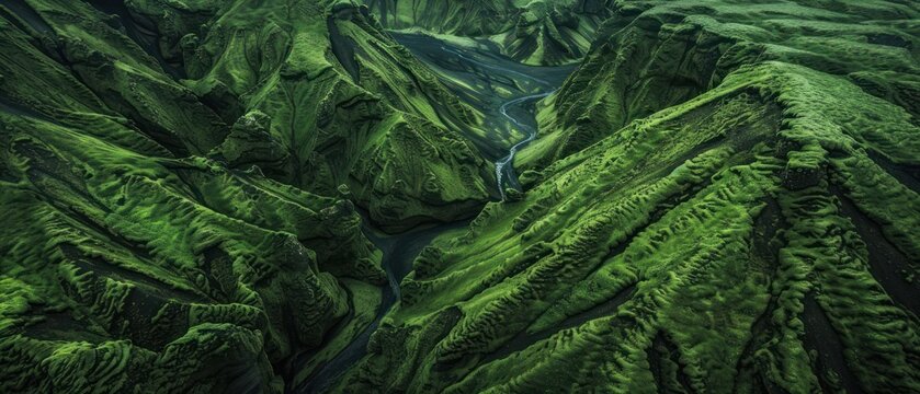 green jungle cover on hill mountain landscape valley moss lush forrest and river waterfall