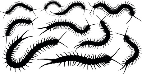 Scary centipede silhouette vector illustration set featuring creepy crawling millipede bugs and insects isolated on white background for nature design.