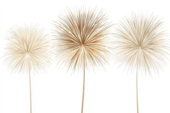Three Golden Firework Bursts Against a Clear White Backdrop Creating a Festive Celebratory Atmosphere with Dynamic Explosions and Ornate Radial Patterns for Special Occasions