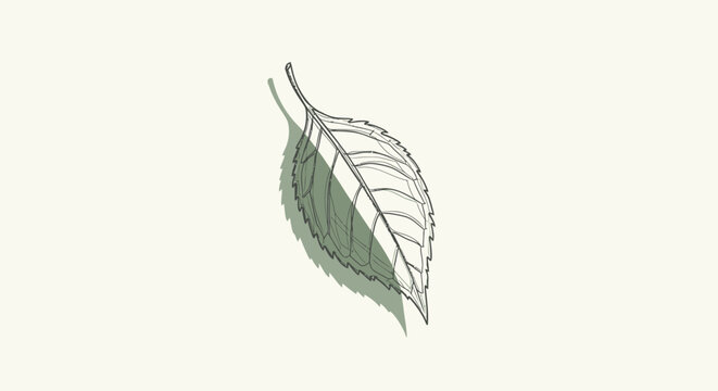 Vector illustration of a single green leaf with detailed veins isolated on beige background