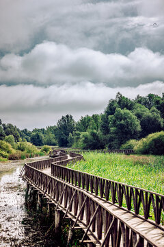 View of a sinuous wooden bridge stretches across the tranquil, reedy waters towards a verdant forest under a sky heavy with dramatic, swirling clouds, Kopa&Auml;evo, Osje&Auml;ko-baranjska &Aring;&frac34;upanija, Croatia.