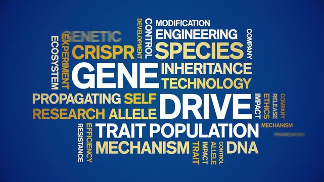 Gene Drive animated word cloud-text design animation tag kinetic typography seamless loop.