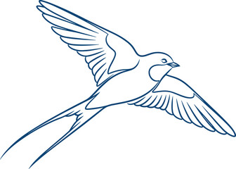 Obraz premium Flying swallow bird line art illustration, elegant minimal outline drawing symbolizing freedom, nature and motion, monochrome vector design isolated on white background