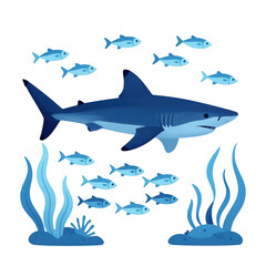 Fototapeta premium Blue Shark Swimming With Small Fish And Seaweed