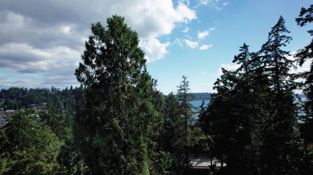 Rising Drone Reveal of Meydenbauer Bay Bellevue