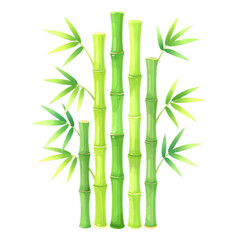 Obraz premium Green Bamboo Stalks With Leaves Vector Illustration