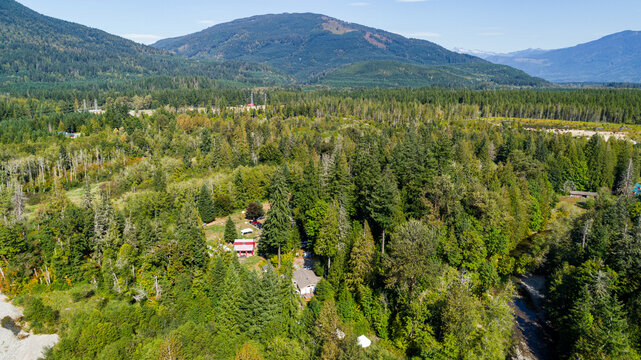 Aerial view of lush greenery blankets the landscape, with scattered houses nestled amidst the trees, under a clear sky, Swede Heaven, Washington, United States.