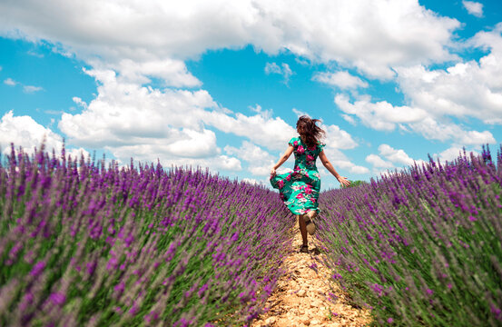 France, Provence, Valensole plateau, back view of woman running among lavender fields in summer