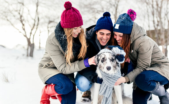 Three friends having fun their border collie in the snow
