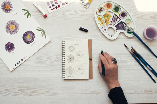 Woman drawing flowers, top view