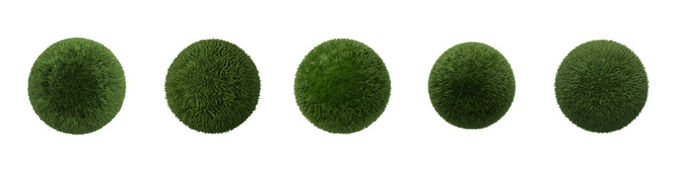 Collection for Four green moss balls on white isolated on transparent background