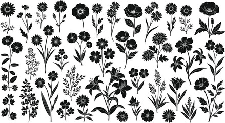 Wildflower silhouette collection with diverse floral botanical elements, black vector flower icons set for nature design, decoration, branding, patterns, isolated on white background