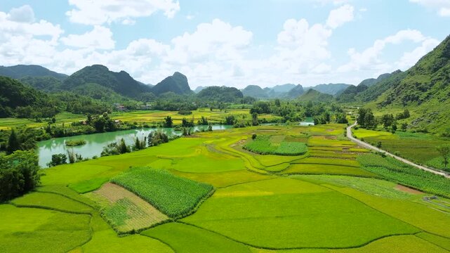 High-angle drone shot showing a patchwork of vibrant green rice fields and a turquoise river winding through a limestone mountain valley in North Vietnam.