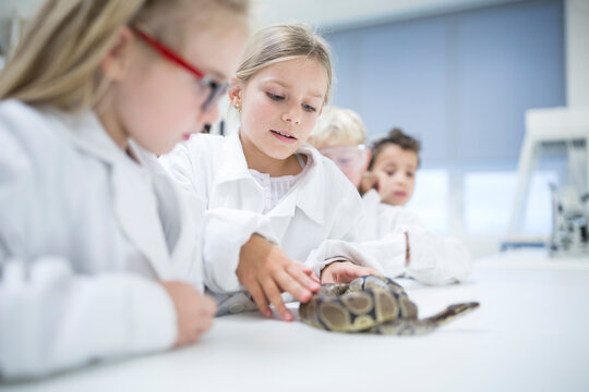Students in a science class observe a snake closely during their lesson