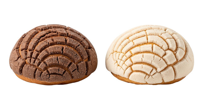 Two fresh concha pastries, a delicious Mexican treat