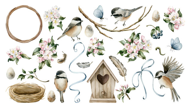 Chickadee Birds Birdhouse Nest Apple Blossom Set. Watercolor hand drawn illustration isolated on white background for Easter decor spring design cottagecore rustic card poster rural print home textile