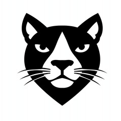 black cat face © sony