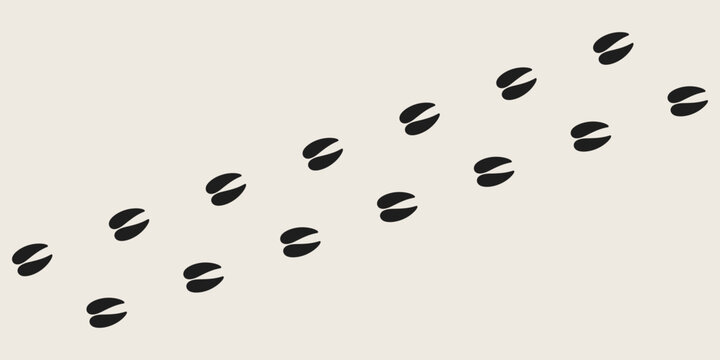 Antelope footprints vector illustration  