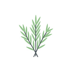 Fototapeta premium Tarragon Herb Cluster with Crisp Flat Shapes Detailed Botanical Herb Vector Illustration