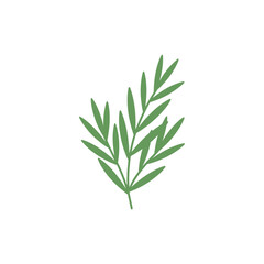 Fototapeta premium Tarragon Herb Cluster with Smooth Edges Detailed Botanical Flat 2D Vector Illustration