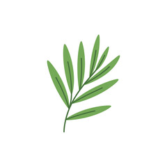 Fototapeta premium Tarragon Leaves Arranged Naturally, Botanical Herb Flat 2D Vector Illustration Design