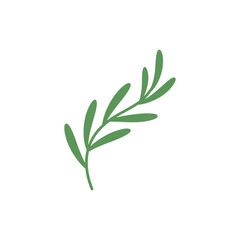 Fototapeta premium Tarragon Leaves Forming S-Curve Bold Shapes Herbal Vector Illustration Botanical Art