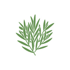 Tarragon Leaves with Graphic Repetition Botanical Culinary Herb Green Flat 2D Vector Illustration Icon