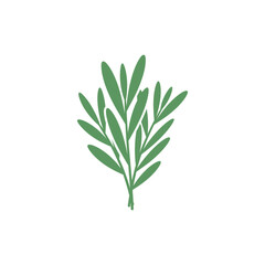 Fototapeta premium Tarragon Leaves with Soft Organic Spacing, Flat Botanical Vector Illustration, Natural Herb Design