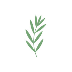 Tarragon Sprig with Subtle Flat Detail Botanical Culinary Green Herb 2D Vector Illustration Icon