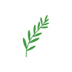 Fototapeta premium Tarragon Sprig with Smooth Flowing Stem Botanical Culinary Green Herb 2D Vector Icon