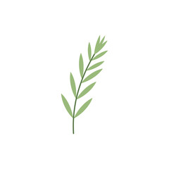 Fototapeta premium Tarragon Stem with Alternating Leaves Graphic Botanical Culinary Green Herb 2D Vector Icon Illustration