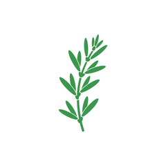 Tarragon Sprig with Visible Leaf Nodes Botanical Culinary Green Herb 2D Vector Illustration Icon