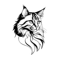 Dibujo con líneas de la cabeza de un gato de angora  © teracreonte