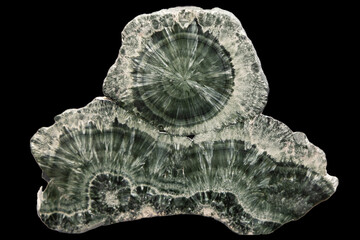 Clinochlore Cross Section Close-Up, Mineral Crystal Structure and Internal Texture Detail © Bo