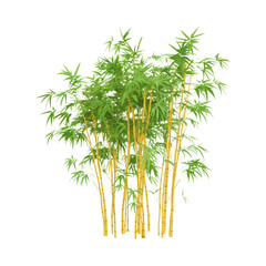 Elegant Bamboo Stalks with Green Leaves Isolated on White