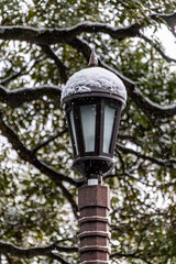 都心散歩　雪の浜離宮