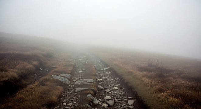 Mystical path shrouded in dense fog, leading to an unknown destination