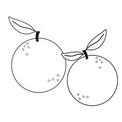 Two oranges with leaves and stems, simple black line art illustration. Perfect for coloring pages, icons, or healthy food concepts